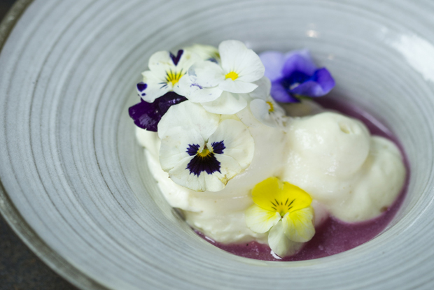 Aramburu-LATAM-2018-DISH2